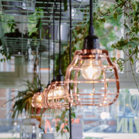Detail van onze lampen en het groen van de planten bij COFFEELAB