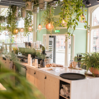 De bar en het mooie groen in COFFEELAB Den Bosch